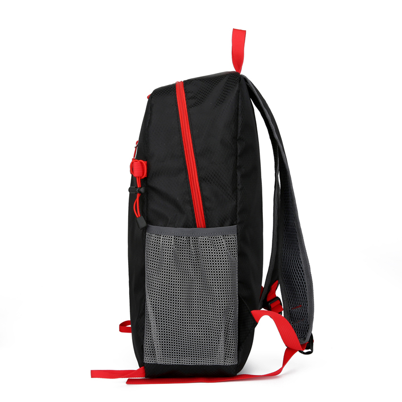 15L Di Động Ngày Bộ Ba Lô Gấp  - đánh giá và giá Foldable Backpack Small