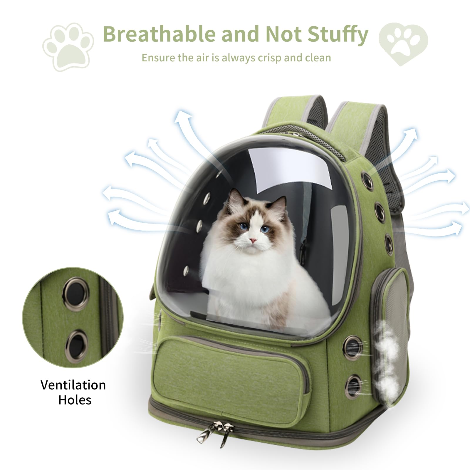 Cat Backpack Carrier Breathabl - đánh giá và giá Foldable Backpack Small